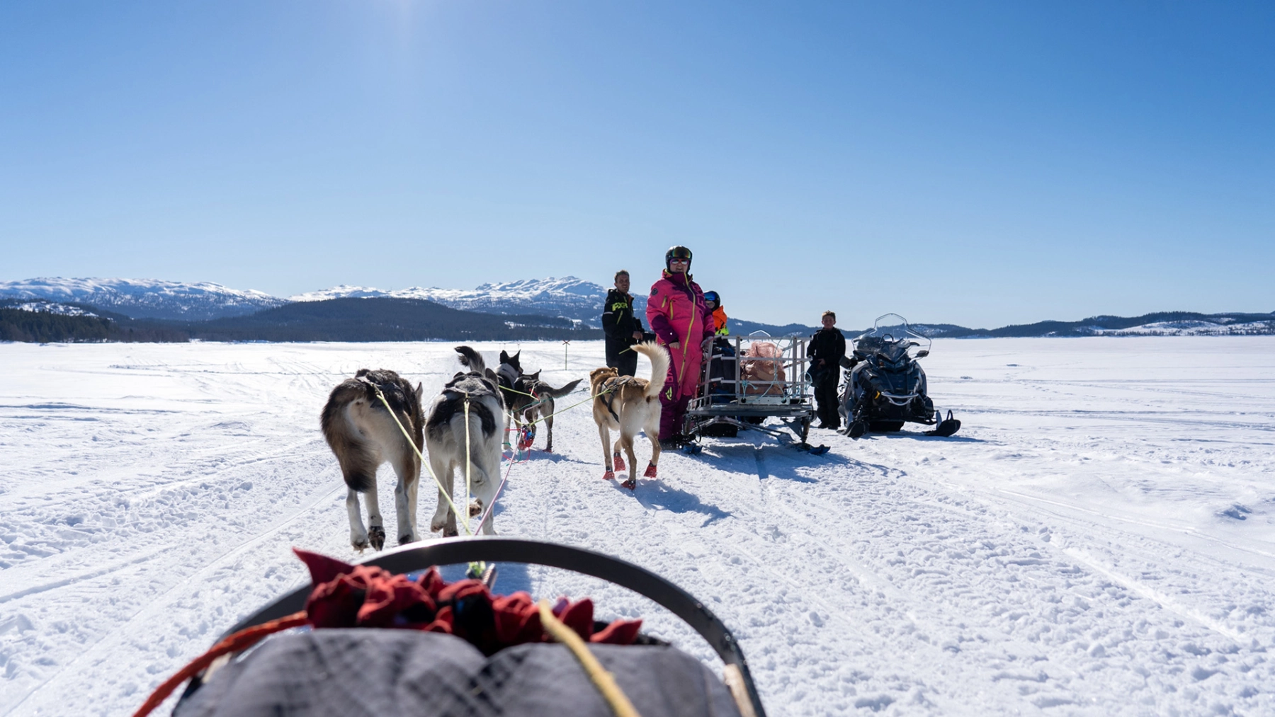 Telemark-Huskytour-00904 copy.jpg