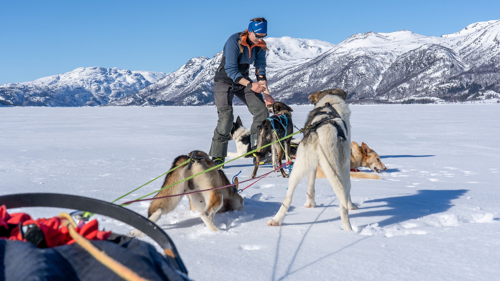 Telemark-Huskytour-00937 copy.jpg